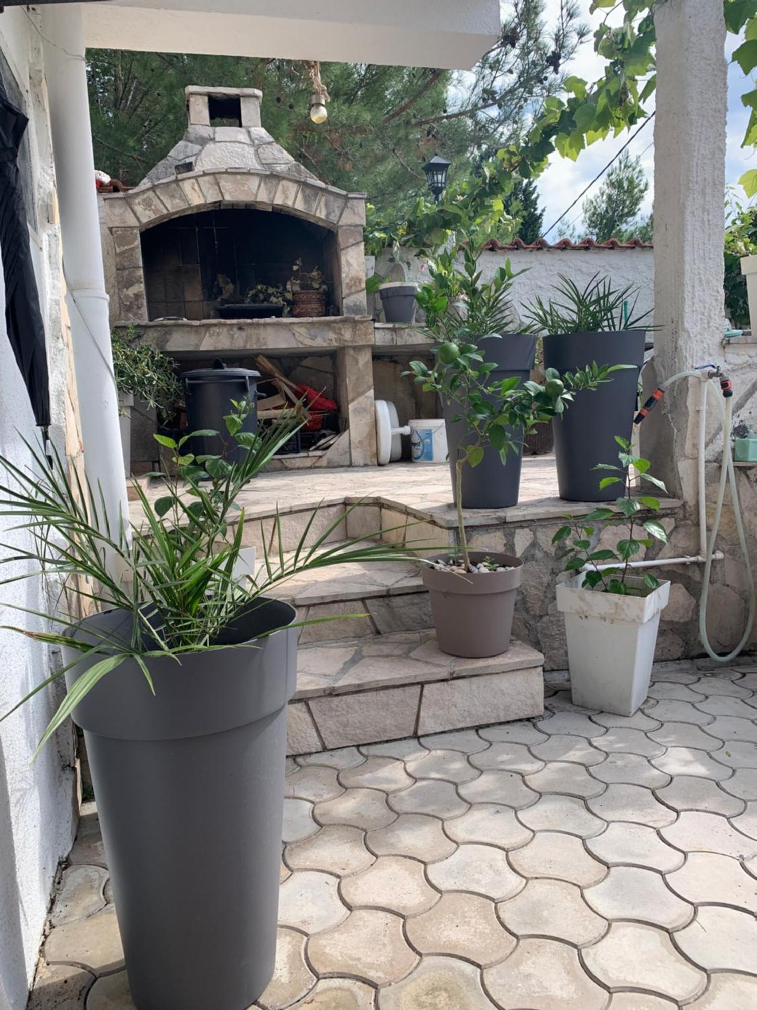 Apartments Ljiljana بار المظهر الخارجي الصورة