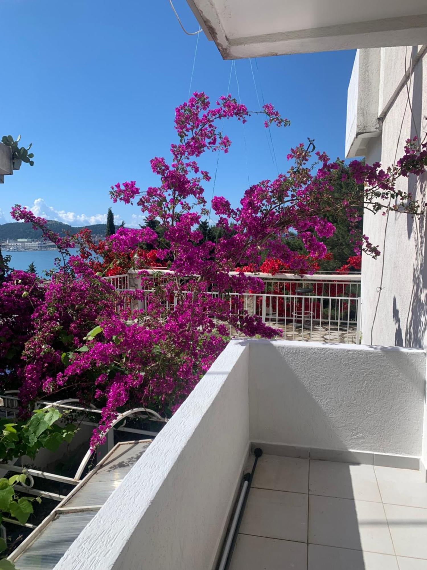 Apartments Ljiljana بار المظهر الخارجي الصورة